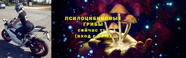 спайс Белокуриха