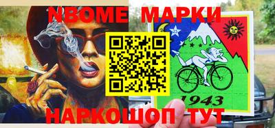 СК Волгодонск