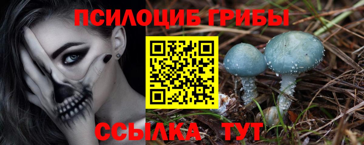 Псилоцибиновые грибы мухоморы Пыть-Ях