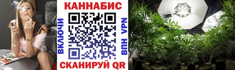 Конопля сатива  Пыть-Ях 